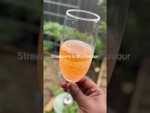 Kombucha#foodpreservation #drink #homemade #kombucha