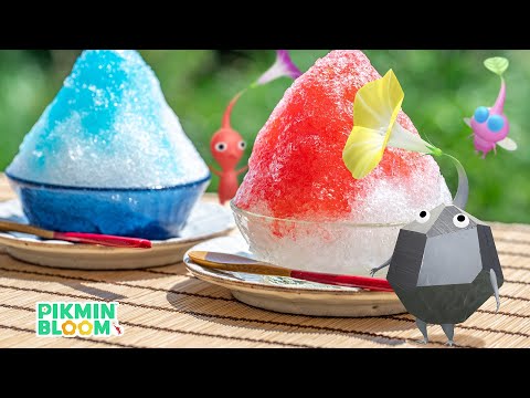 新イベントスタート！かき氷ピクミンが欲しいから歩く【#ピクミンブルーム / #PikminBloom