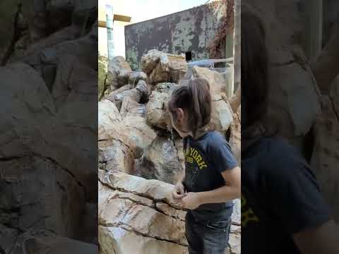 شلال اسمنت تقليد الصخر  احمد الاغا ahmad agha. #decoration #اكسبلور #shorts