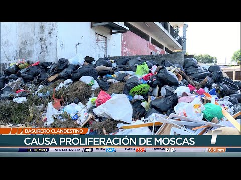 San Miguelito invadido por basureros improvisados y moscas