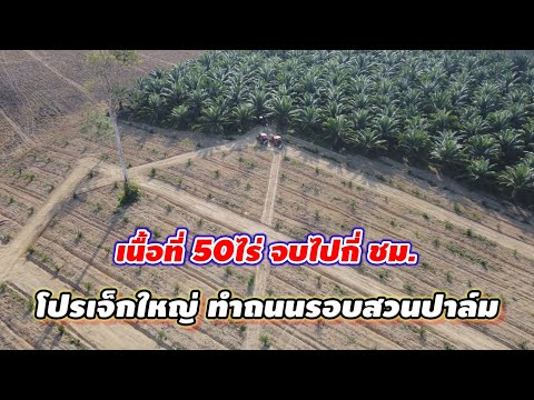 โปรเจ็กใหญ่ทำถนนพื้นที่50ไร่