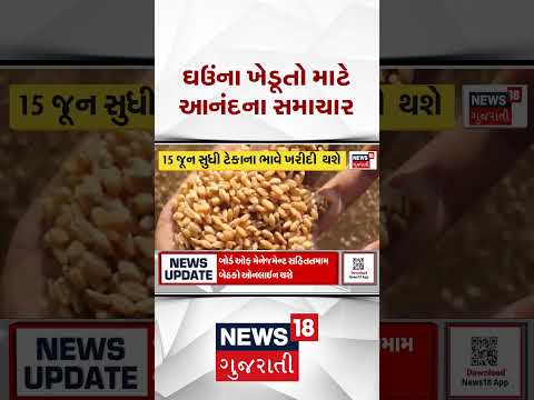 Good News For Gujarat Farmers | ઘઉંના ખેડૂતો માટે આનંદના સમાચાર | News18 Gujarati