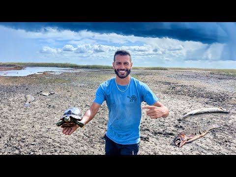 The Everglades is Dying... Welcome to Blake’s Exotic Animal Ranch
if you’re new here, I would definitely subscribe and clic
