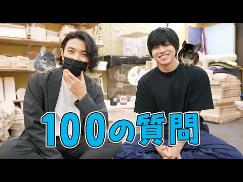 チンチラを飼っている芸能人に初対面でいきなり100の質問してみた！