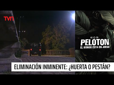 Eliminación inminente: ¿Camilo Huerta o María Pestán? | Pelotón