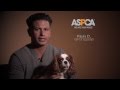 DJ Pauly D Teams up with ASPCA to Support Hurricane Sandy Relief Efforts!