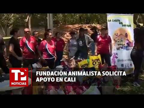 Fundación animalista solicita apoyo en Cali |17.03.2024| TP Noticias
