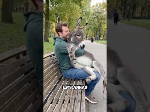 As tarefas mais estranhas que animais fazem #curiosidades #animal #natureza