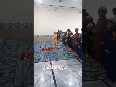 Most Beautiful Quran #quran #quranrecitation #shortvideo #viralshort #fypシ゚viral #2025 #pakistan