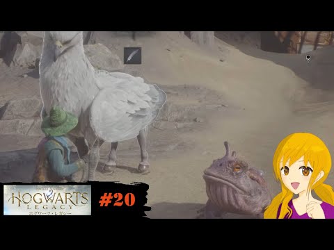 ホグワーツ・レガシー #20 :このカエルさんの皮膚をごしごししたらイボをくれるのですが痛くないのでしょうかw