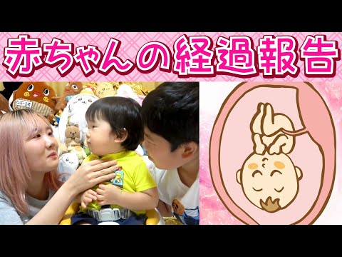 ◆経過報告&西松屋で購入したものを紹介～逆子体操頑張った結果～◆