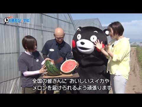 ＧＯ！くまモン☆ナビ　『 熊本の農業の未来のために！熊本県農業コンクール大会  』2025年5月30日（金）