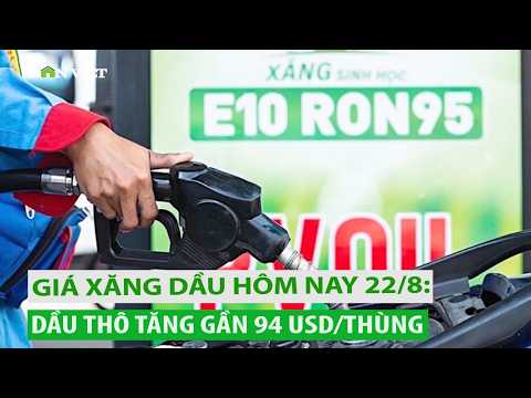 Giá xăng dầu hôm <strong>nay</strong> 22/8: Dầu thô gần 94 USD/thùng, xăng dầu trong nước tăng mạnh