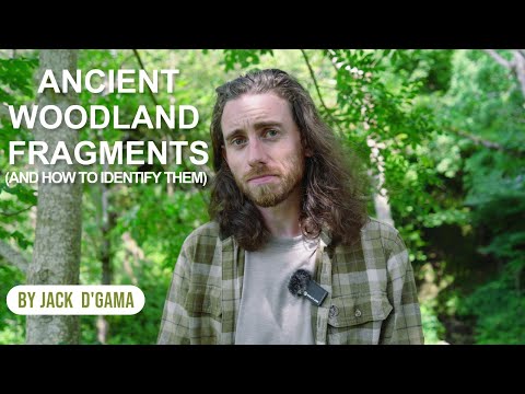 Ancient Woodland Fragments with Connor McKinnie