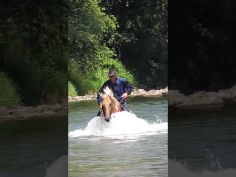 Jahanje - Prečkanje reke Save!