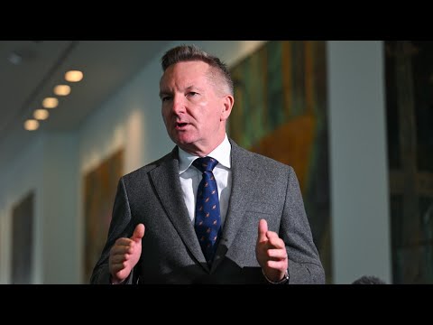 ‘There’ll be more like this’: Chris Bowen’s $212,000 jet bill paid by Aussie taxpayers
