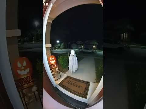 Dog Gets Scared By Halloween Prop While Doing His Business #funny