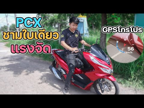 รีวิวPCXปี2018-ชามใบเดียว-เม็ด รีวิวPCXปี2018-ชามใบเดียว-เม็ด