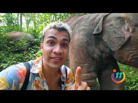 ¿Cristopher se bañó con elefantes en Tailandia?