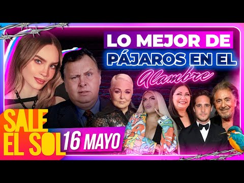 Belinda, Diego Boneta, Lupita D'Alessio Wendy Guevara | Lo mejor de pájaros  | 16/05/2024