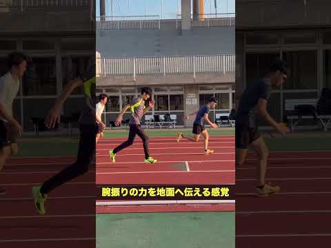 様々な環境での腕振り学習#shorts #sprint #armswing #腕振り #スプリント #加速 #中間疾走 #走動作 #フォーム改善 #力発揮 #接地 #連続ジャンプ #体幹 #身体操作