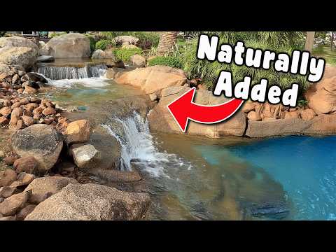 Building A Waterfall Near A Natural Lake In Africa Ed is back in Southern Africa, continuing work on one of the largest recreational pond projects he's