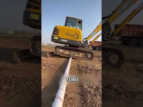 AFICIONADO vs PROFECIONAL