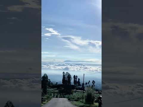 morning vibes #shortvideo #shorts #relaxing #vibes #foryou #shortfeed