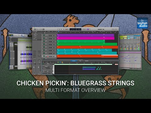 Multi Format Overview - Chicken Pickin': Bluegrass Strings