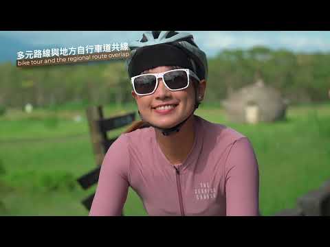 交通部自行車路網標誌標線