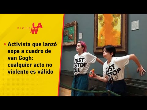 Activista que lanzó sopa a cuadro de van Gogh: cualquier acto no violento es válido