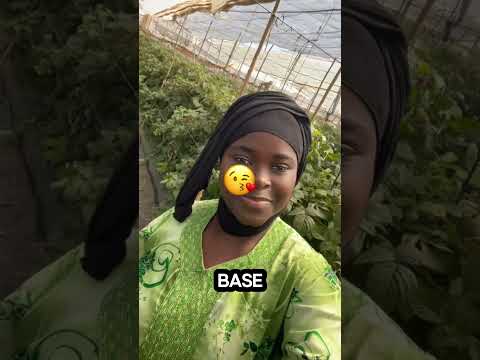 Baby love #automobile #duet #motivation #fruit #citation #love #africa #comedy #jardin #food #funny