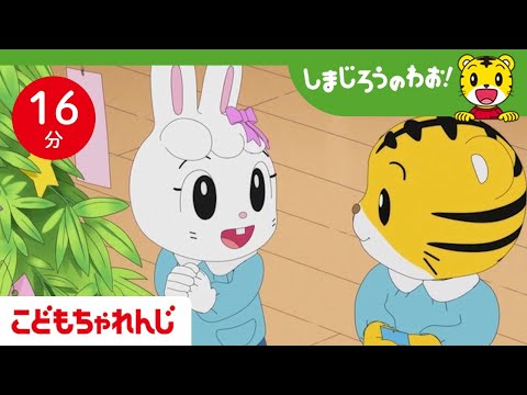 【16分アニメ】七夕に なにをお願いする？ | 友情・夢・チャレンジ | しまじろうのわお！アニメ | しまじろうチャンネル公式