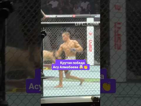 Асу Алмабаев - Алекс Перес #ufc #mma #мма #ufcqatar