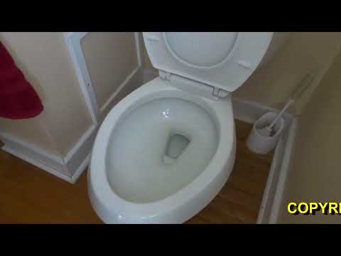 OLD LADY IS CONSTIPATED AND BLOCKING TOILET NEEDS HELP