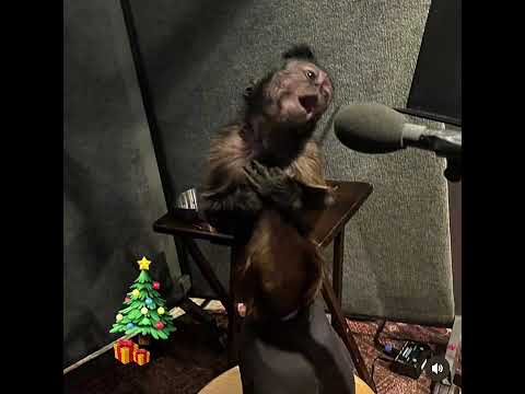 The <strong>Christmas</strong> <strong>Song</strong> (full cover.)