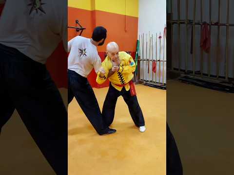 TSKF Kung Fu Equilíbrio em todos os sentidos, defesa pessoal com contragolpe fatal