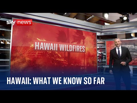 Hawaii wildfires: What do we know so far?