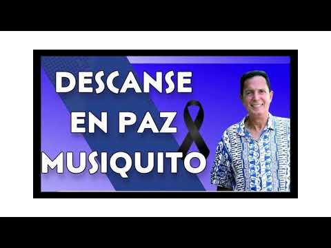 #Muere icónico merenguero, Francisco Arturo Avelino García, «Musiquito»#.