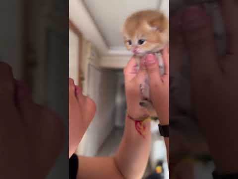 Cute level ❤️❤️