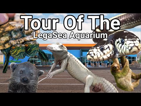Tour of the NEW LegaSea Aquarium and Reptarium! Today we have the honor of being one of the first people to tour the new LegaSea aquarium and the Re