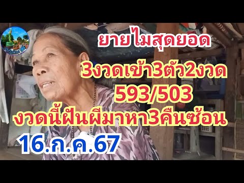 ยายไม3งวดเข้า3ตัว2งวด593503งวด