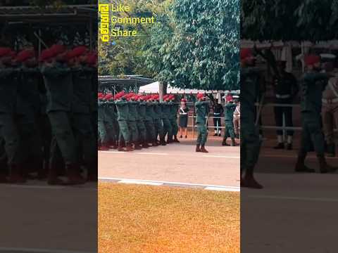 කොමාන්ඩෝ | Commando Regiment Special Training Soldiers #army #commando #military #special #viral