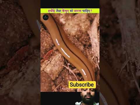 Do You Agree With The Scientists facts youtube shorts #shorts #youtube #youtubeshorts #facts #short