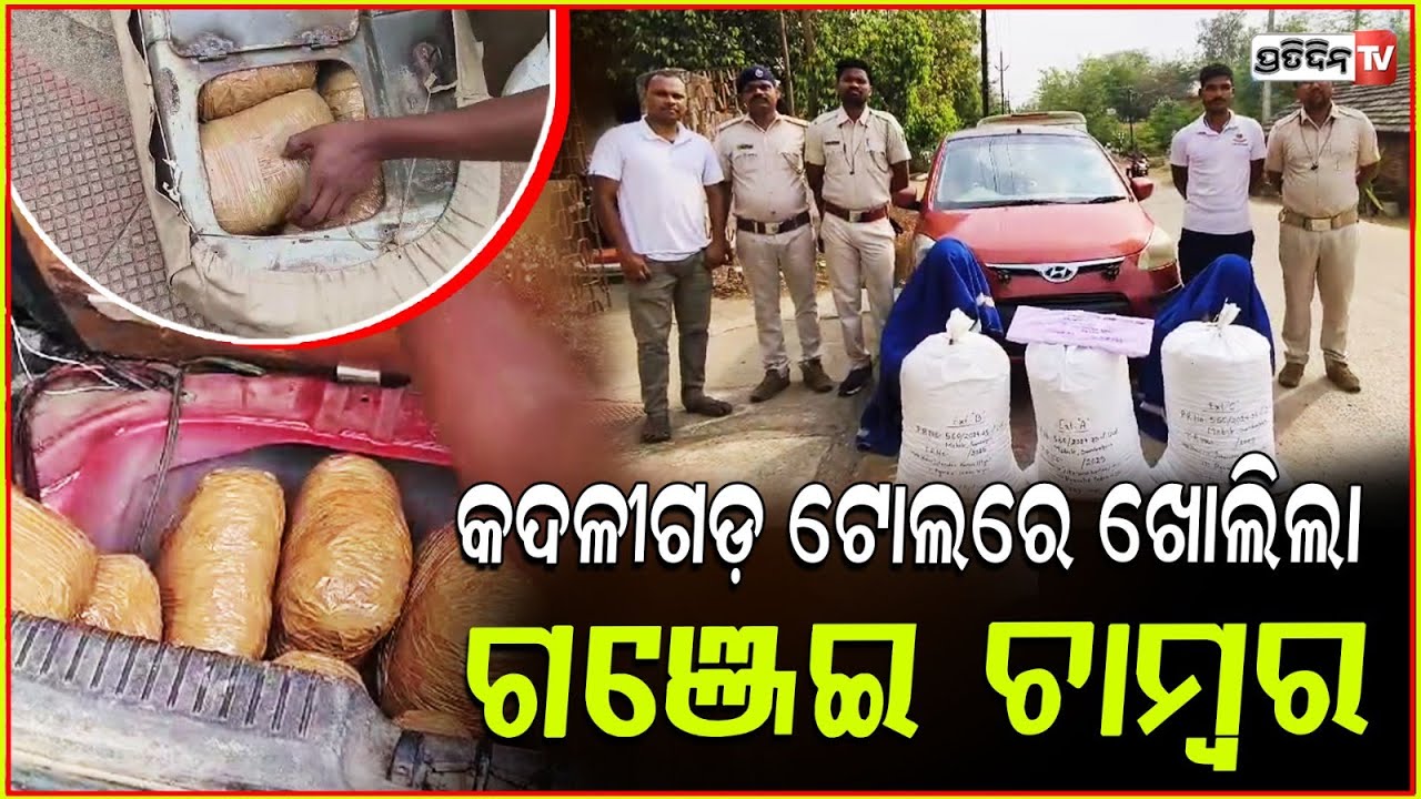 ସ୍ବତନ୍ତ୍ର ଚ୍ୟାମ୍ବରରେ ଲୁଚାଇ ରଖିଥିଲେ ଗଞ୍ଜେଇ, କଦଳୀଗଡ ଟୋଲଗେଟ ନିକଟରୁ କାର ସହ ଜବତ! Ganja seized, sambalpur