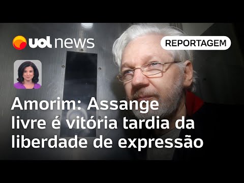 Julian Assange livre é vitória tardia da liberdade de expressão, diz Celso Amorim | Raquel Landim