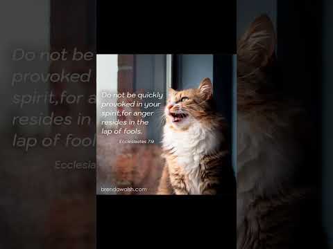 #music #countrymusic #acousticcover #dailybibleverse #cat #kitty