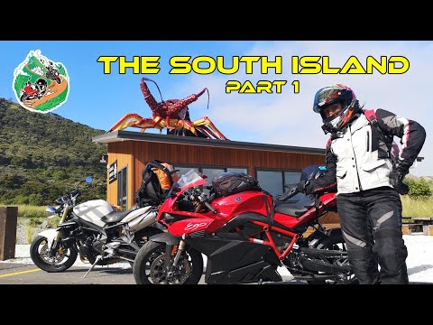 South Island NZ Road Trip 🥝 Part 1: Wellington To Akaroa