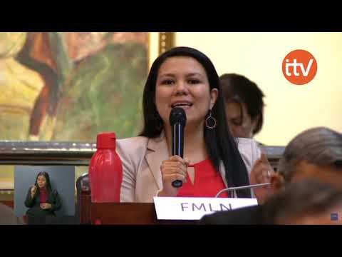 FMLN expresa su inconformidad en que se ha desarrollado la primera sesión plenaria