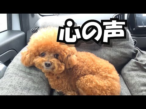 温泉で心の声が出ちゃった話